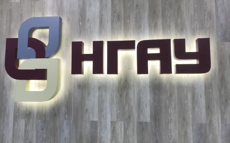 НГАУ 6