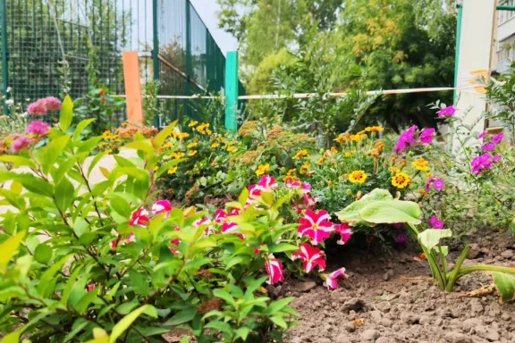 Островок радости